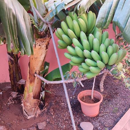 Casita La Gomera Сан-Себастьян-де-ла-Гомера Экстерьер фото