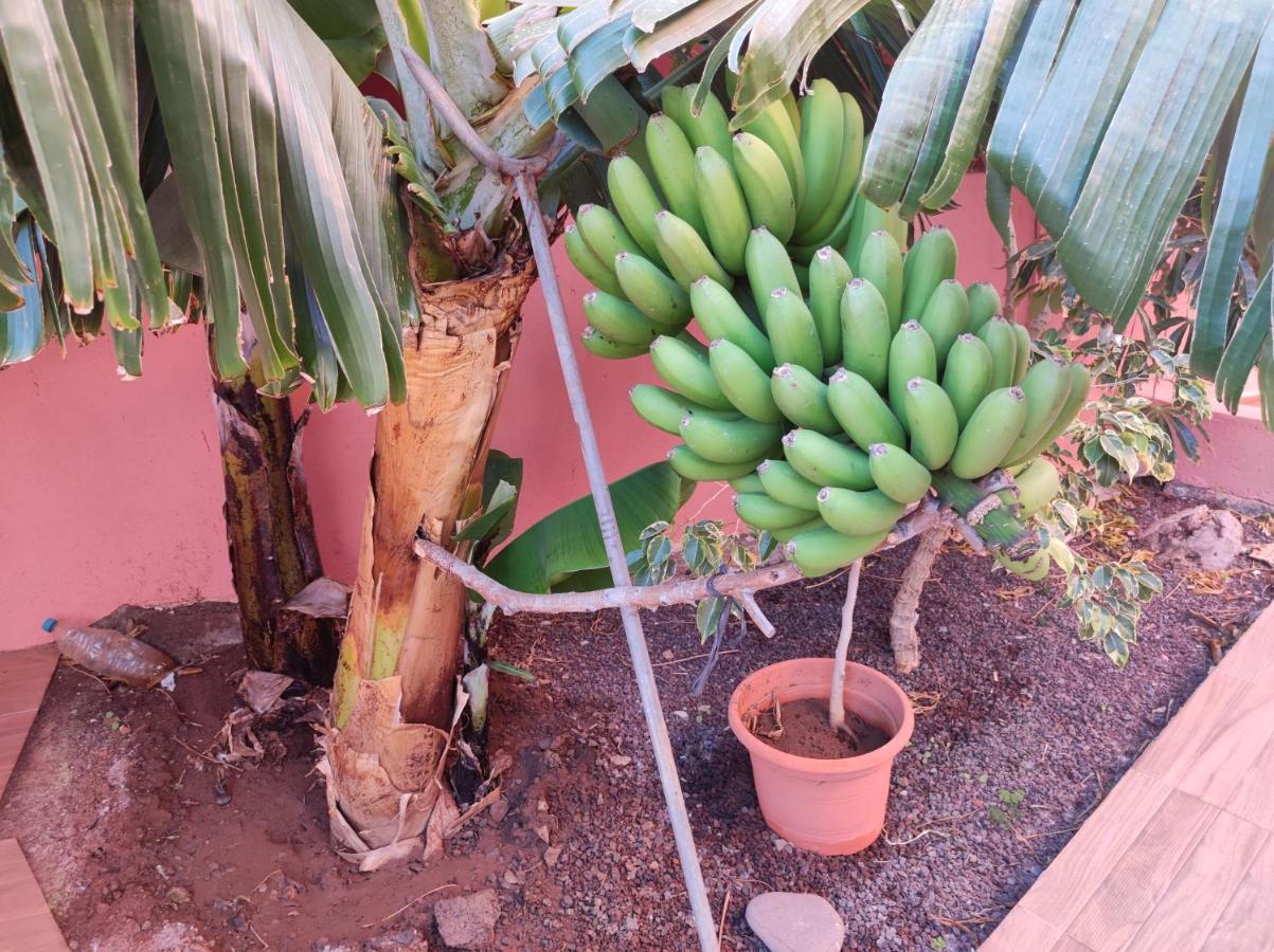 Casita La Gomera Сан-Себастьян-де-ла-Гомера Экстерьер фото